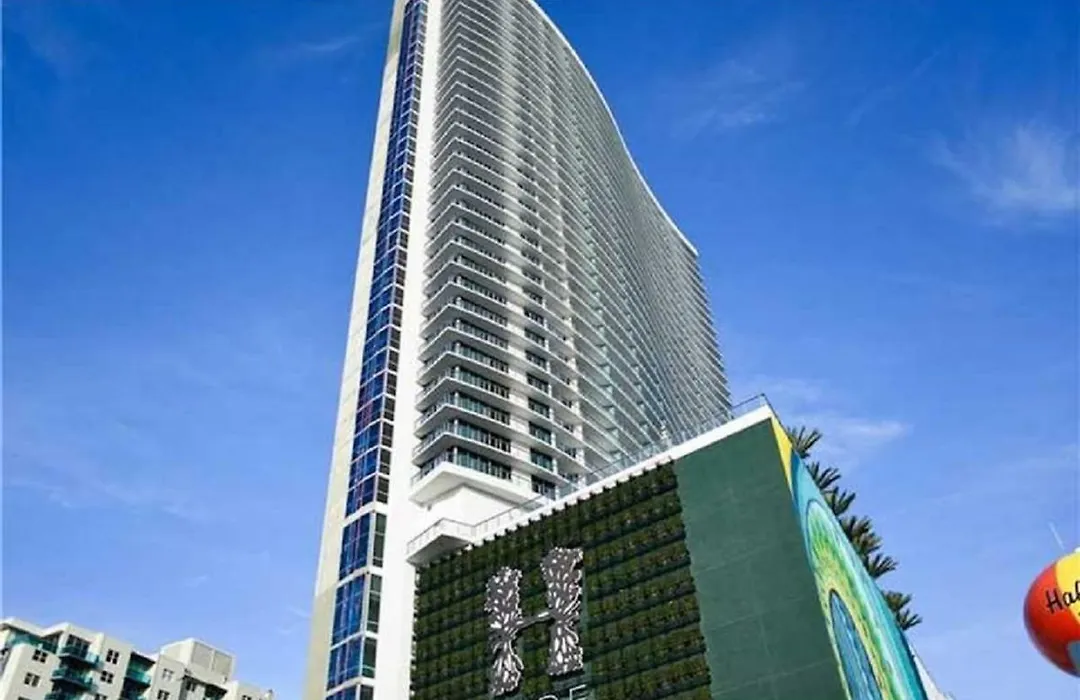 Rent In Lyfe Resort-1
